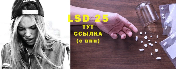 индика Сосновка