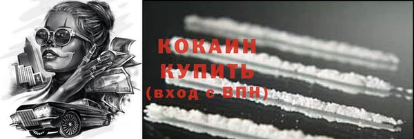 молекула духа Богородицк