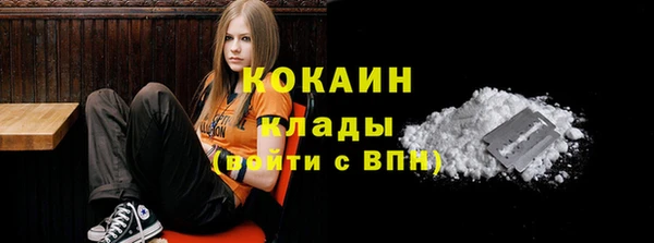 молекула духа Богородицк