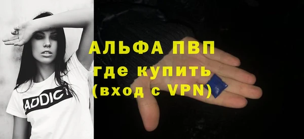 индика Сосновка