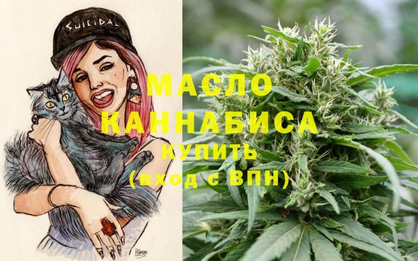 молекула духа Богородицк