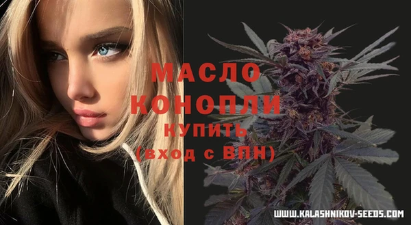 индика Сосновка