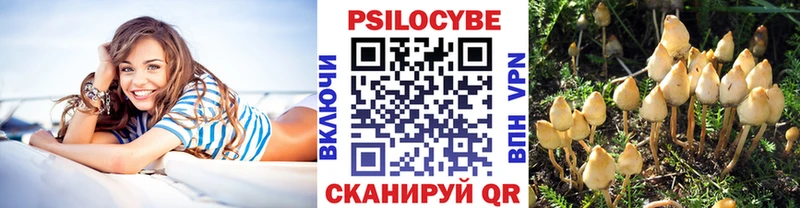 Псилоцибиновые грибы Magic Shrooms  где купить наркоту  Новосокольники 